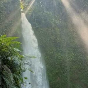 Bali Waterfall