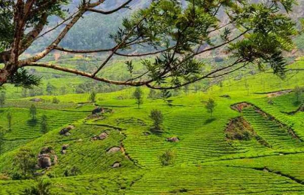 Munnar