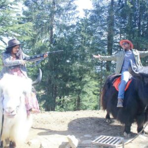 Shimla Kullu Manali Tour Package From Delhi 4N 5D